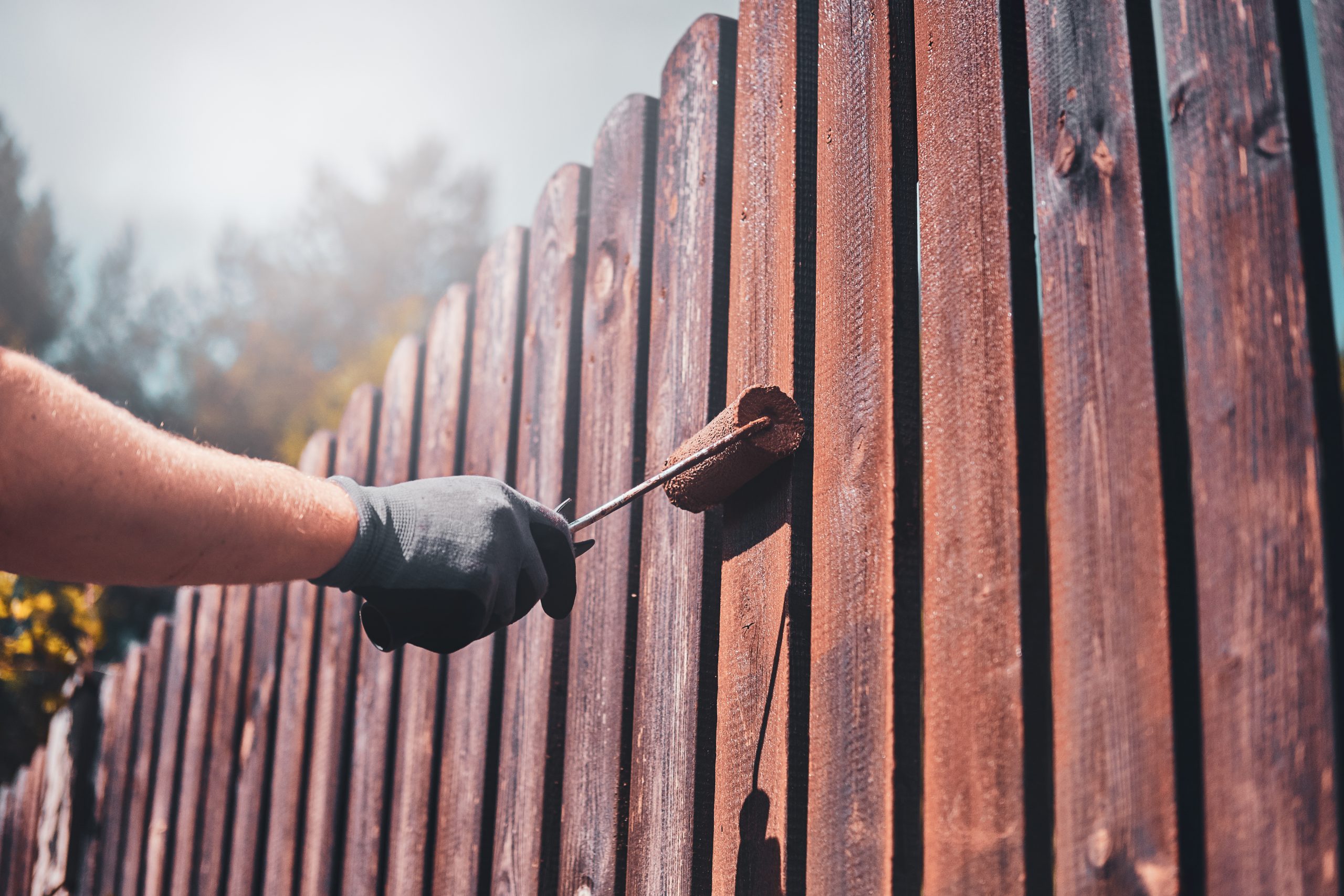 Diligent man is painting fence with brush fence painting